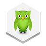 Duolingo Icon 96x96 png