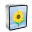 iPhone 4 Black Sunflower Icon 32x32 png