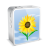 iPhone 4 White Sunflower Icon 48x48 png