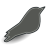 Songbird Grey Icon