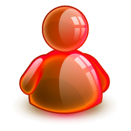 Online Red Icon 256x256 png