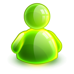 Online Icon 256x256 png