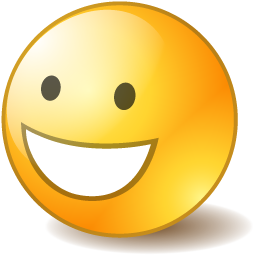Positive Icon 256x256 png