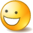 Positive Icon 48x48 png