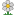 Flower Daisy Icon