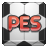 PES Icon