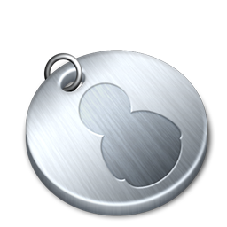 Shiny User Icon 256x256 png