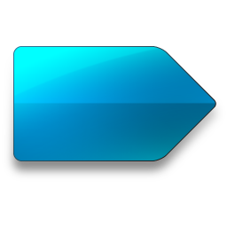 Right Icon 256x256 png