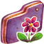Violet Flower Folder Icon 64x64 png