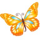 Butterfly Orange Icon 128x128 png