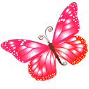 Butterfly Pink Icon 128x128 png