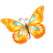 Butterfly Orange Icon