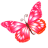 Butterfly Pink Icon 48x48 png