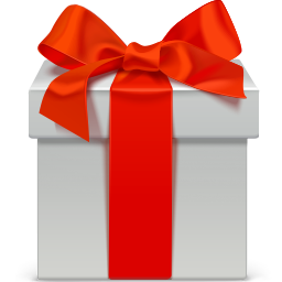 Gift Icon 256x256 png