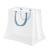 Bag Icon 48x48 png