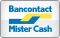 Bancontact Icon 60x38 png