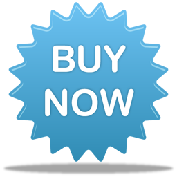 Buy Now Icon 256x256 png