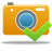 Camera Accept Icon 48x48 png