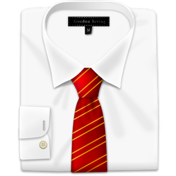 Shirt 02 Icon 256x256 png