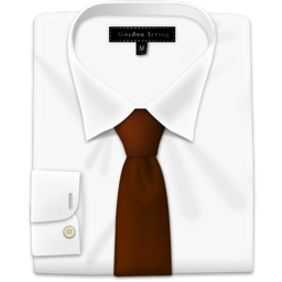 Shirt 21 Icon 256x256 png