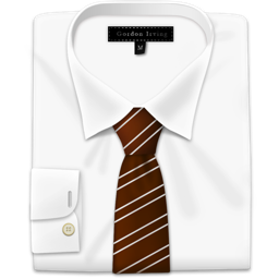Shirt 22 Icon 256x256 png