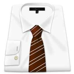 Shirt 24 Icon 256x256 png