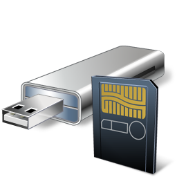 USB Flash Card Reader Icon 256x256 png