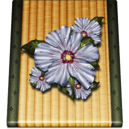 Flower Icon 256x256 png