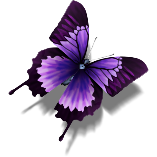 Butterfly Icon 512x512 png
