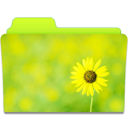 Sunflower Folder Icon 256x256 png