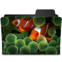 Clownfish Icon 128x128 png