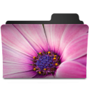 Flower Pink Icon 128x128 png