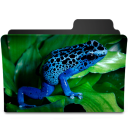 Blue Frog Icon 256x256 png