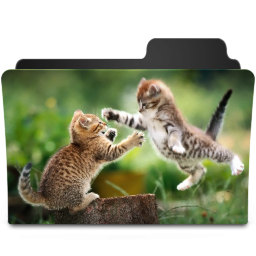 Catfight Icon 256x256 png
