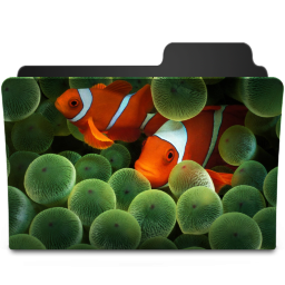 Clownfish Icon 256x256 png