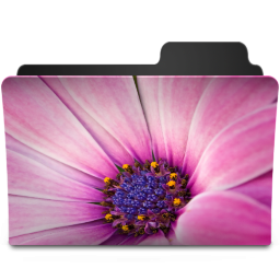 Flower Pink Icon 256x256 png