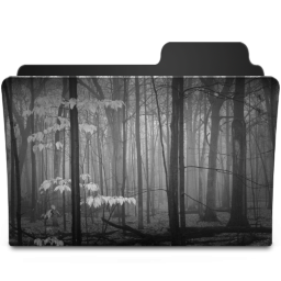 Forrest Icon 256x256 png