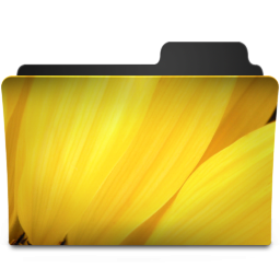 Yellow Flower Icon 256x256 png