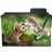 Catfight Icon 48x48 png