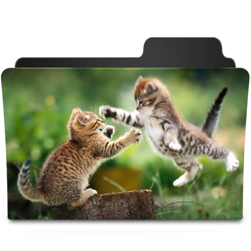Catfight Icon 512x512 png