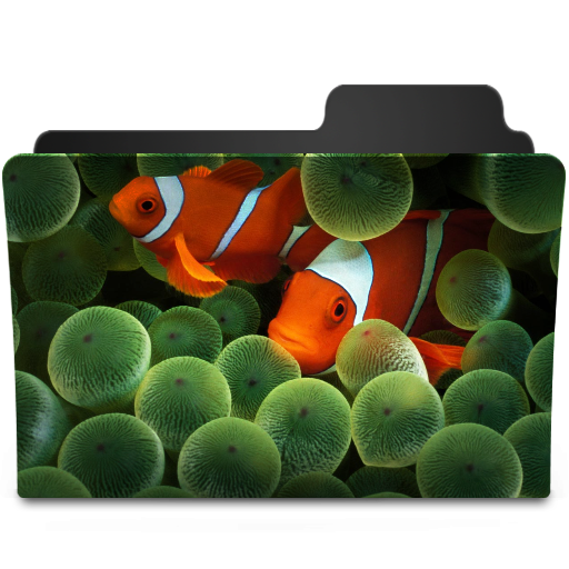 Clownfish Icon 512x512 png