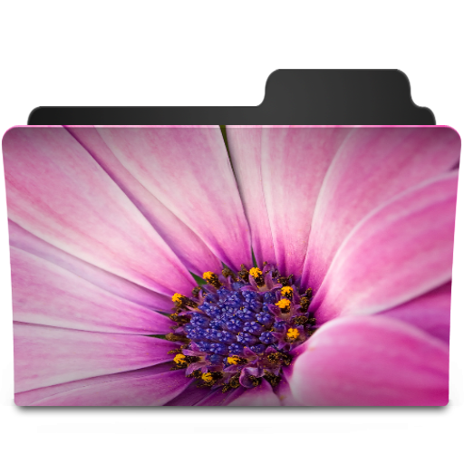 Flower Pink Icon 512x512 png