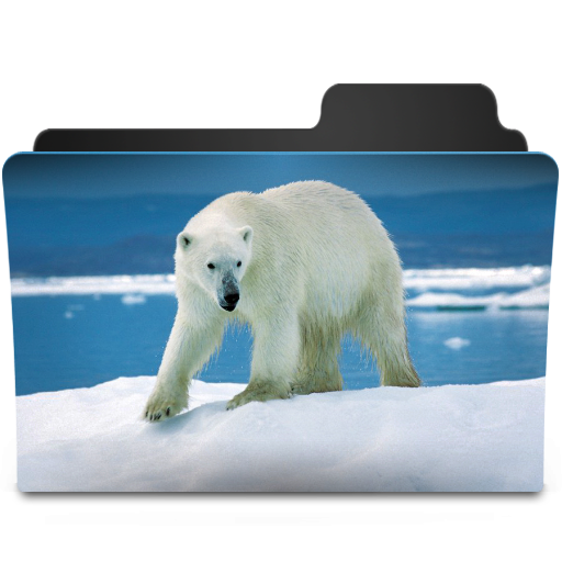 Icebaer Icon 512x512 png