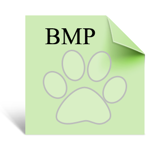 File Image Bmp Icon 300x300 png