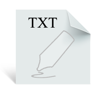 File Text Txt Icon 300x300 png
