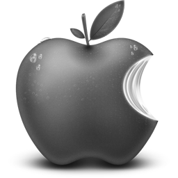 Grey Apple Fruit Icon 256x256 png