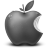Grey Apple Fruit Icon
