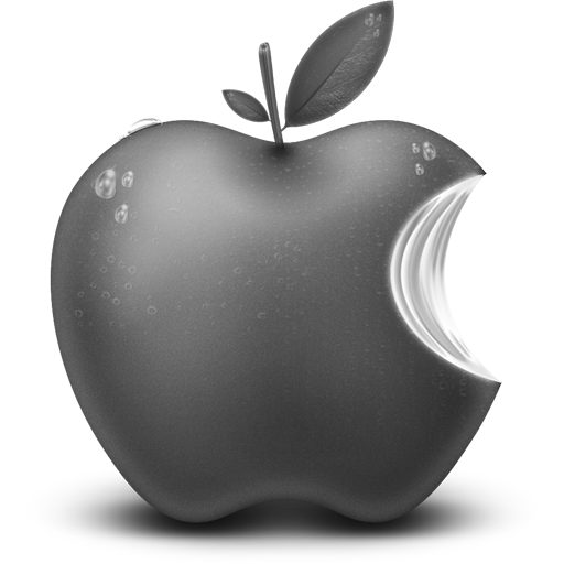 Grey Apple Fruit Icon 512x512 png