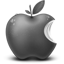 Grey Apple Fruit Icon 64x64 png