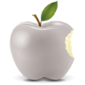 Silver Apple Icon 96x96 png